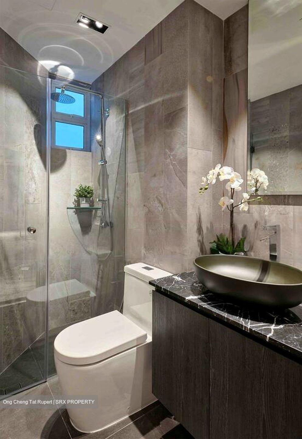 Leedon 2 (D10), Condominium #446687051